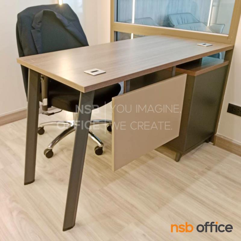 โต๊ะทำงาน รุ่น Dennity (เดนนิตี้) ขนาด 120W cm. ขาเหล็กพ่นสี