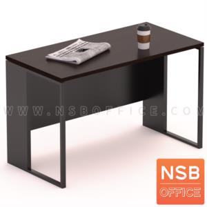 โต๊ะทำงานขาเหล็ก บังตาไม้ ขาเหล็กกล่อง 120_60  ขาเหล็ก 1" x 1" นิ้ว