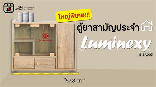 🩺✨ตู้ยาสามัญประจำบ้าน รุ่น G15A003 Luminexy✨🩺