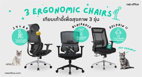 เพื่อสุขภาพหลังของคุณ กับ 3 รุ่นน่าใช้