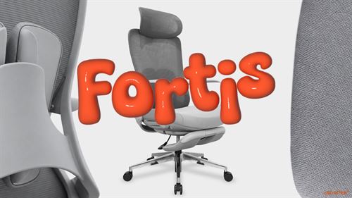 Fortis เก้าอี้ผู้บริหารหลังเน็ตนั่งทำงานก็ได้ เอนพักก็สบาย