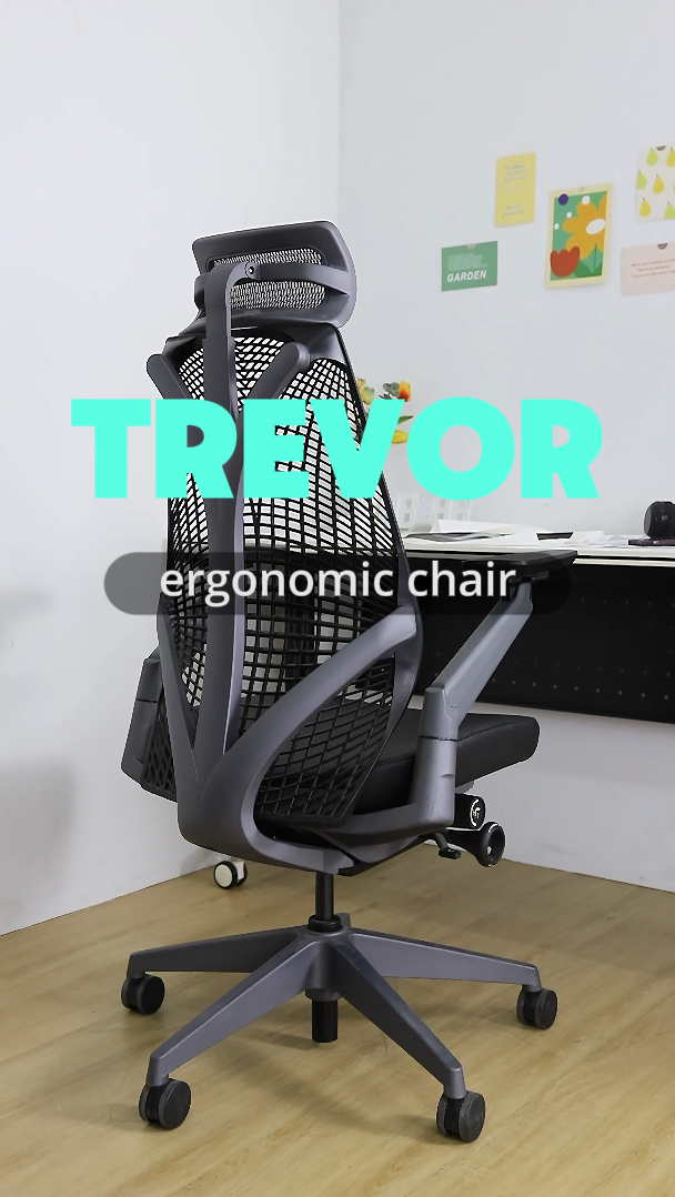 เก้าอี้ของคนรักสุขภาพเท่านั้นที่เข้าใจ Trevor B28A145 ✨