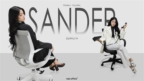 ฺB24A314 เก้าอี้สำนักงานหลังเน็ต